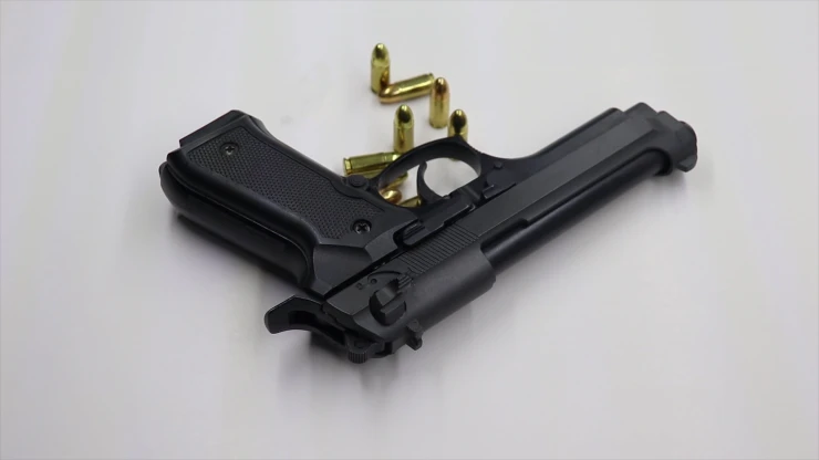 Gun surrender