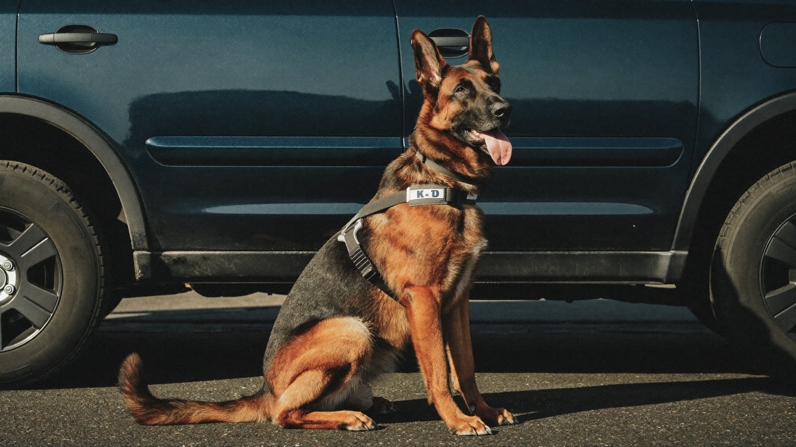 Police K-9